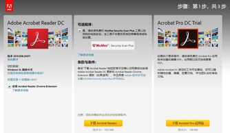 告別Flash時代 為何我們仍難舍“過時”軟件與服務